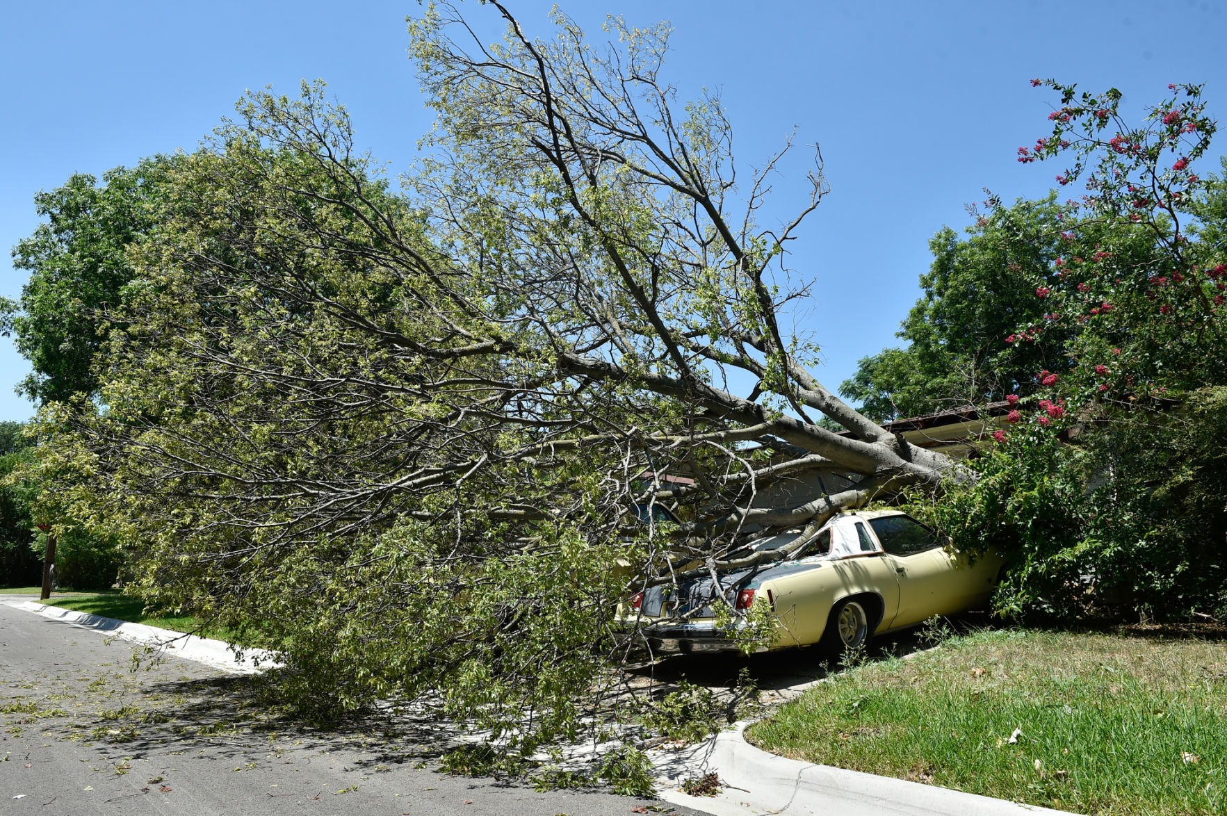 190711_drc_news_StormDamage_20.JPG